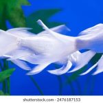 222期开奖结果最新公布,快来看看你中奖了吗? 89h8e