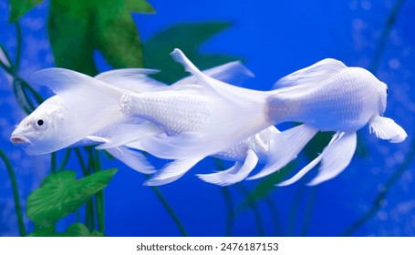 222期开奖结果最新公布，快来看看你中奖了吗？