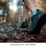 21期开奖记录完整回顾与最新数据汇总 a1wvte6