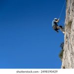 009期开奖胆中精准预测,独胆稳赚不容错过 a7jqnhks