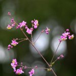 22025期开奖结果震撼揭晓,大奖花落谁家引关注 es64lybdw