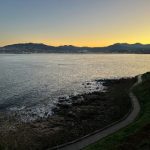 21选开奖结果今日最新公布查询 ooy9uq