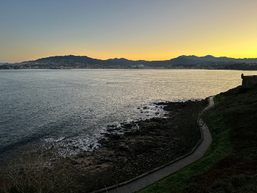 21选开奖结果今日最新公布查询 21选开奖结果今日最新公布查询