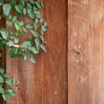 228开奖日惊喜揭晓,幸运号码等你来看! uc0n2s